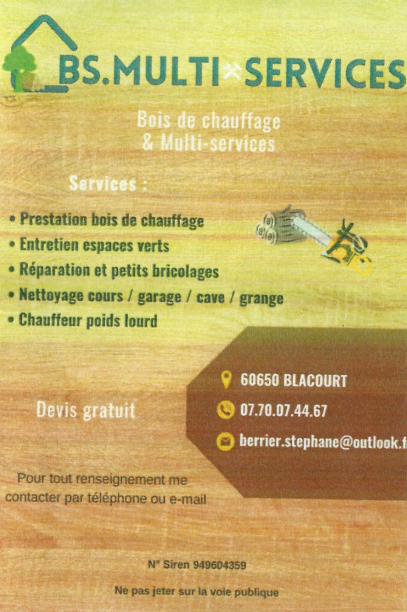 Logo BS Multi Services